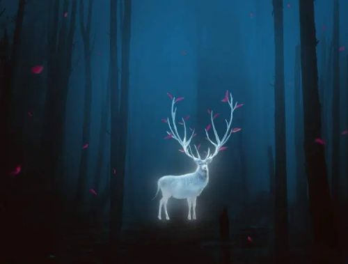 آموزش طراحی گوزن درخشان در فتوشاپ